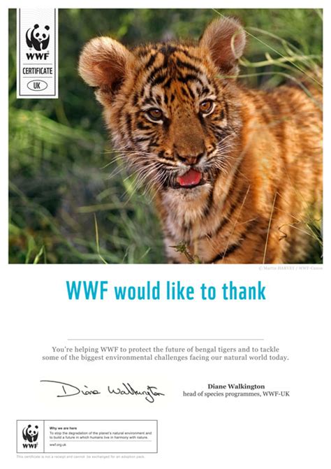 how to cancel wwf adoption.